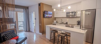 Magnificent condo  in downtown with parking -   5 mins to Metro