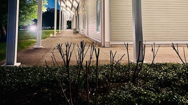 Exterior detail - Art and Foodie Lover`s Dream -Live Like a Local in Montrose (Houston)