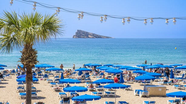 A beach with numerous blue umbrellas and sun loungers, a palm tree, and a rocky outcrop in the distance. - Los Ranchos 4-3 Apartment Levante Beach (Benidorm)