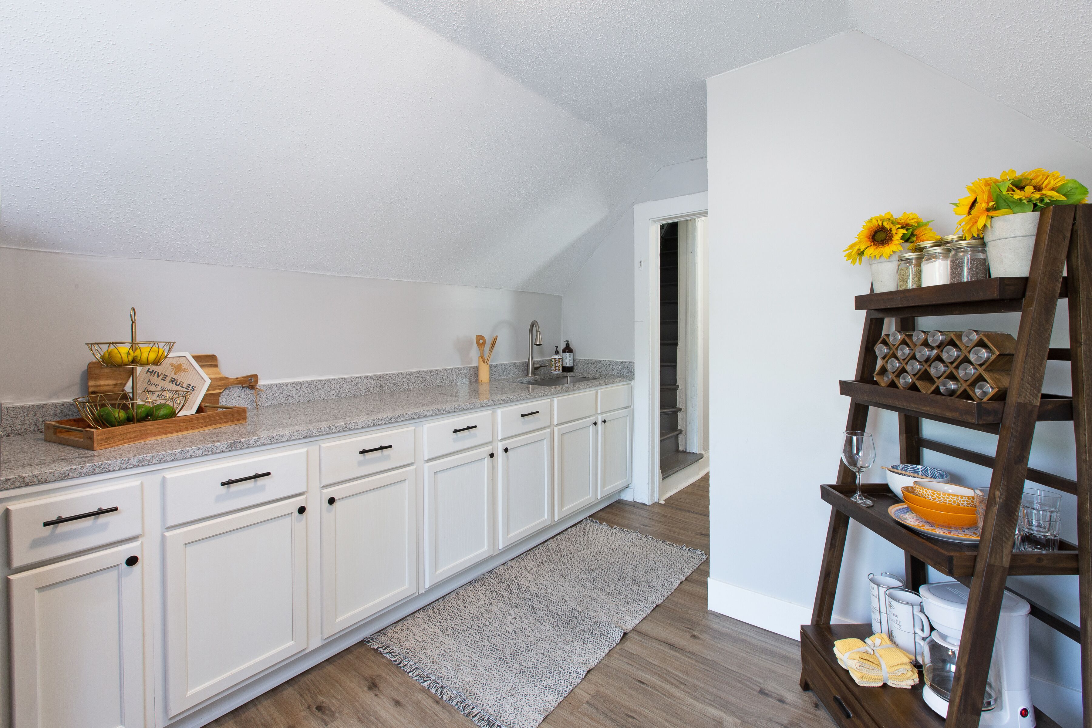 Luxury Historic St. Paul home