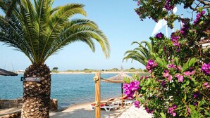 Une vue sur la plage avec un palmier, des chaises longues et un panneau indiquant un point d’accès à la plage.