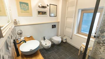 Shower, hair dryer, bidet, towels