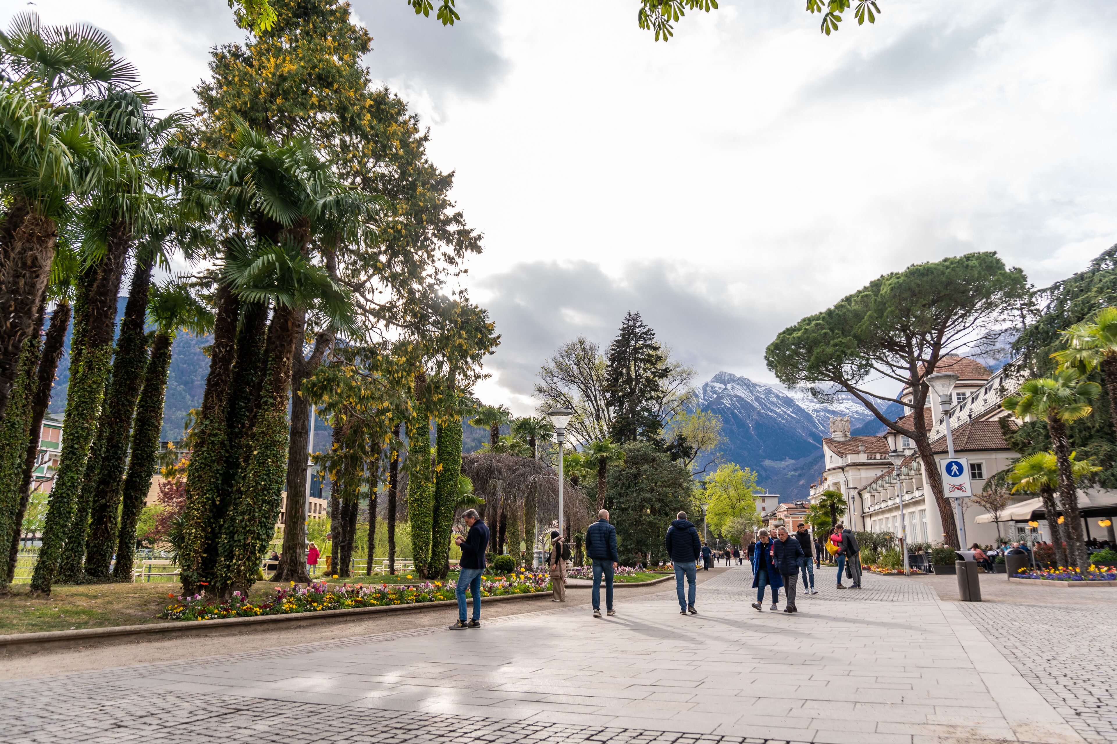 A paved walkway lined with trees and flowers, with people walking and a mountain in the background.