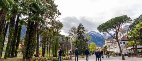 A paved walkway lined with trees and flowers, with people walking and a mountain in the background.