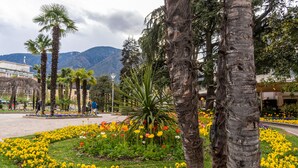 A garden with palm trees and yellow flowers.