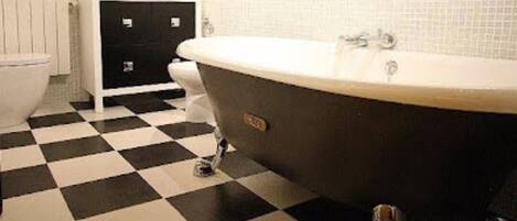 Shower, jetted tub, hair dryer, bidet