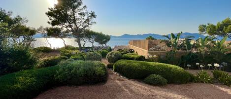 Áreas de la propiedad