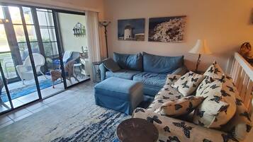 Télévision, cheminée, lecteur de DVD, livres