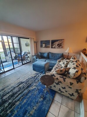 Televisio, takka, DVD-soitin, kirjoja