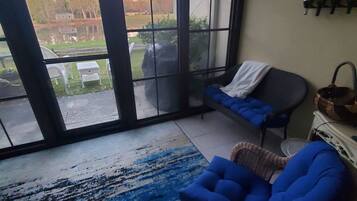 TV, fireplace, DVD player, books