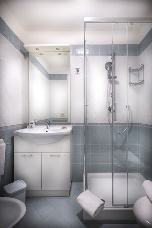 Shower, hair dryer, bidet, towels
