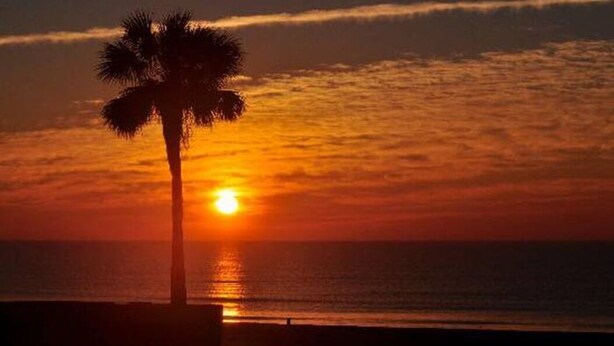 A sunset over the ocean with a palm tree silhouetted against the sky.
