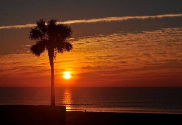 A sunset over the ocean with a palm tree silhouetted against the sky.