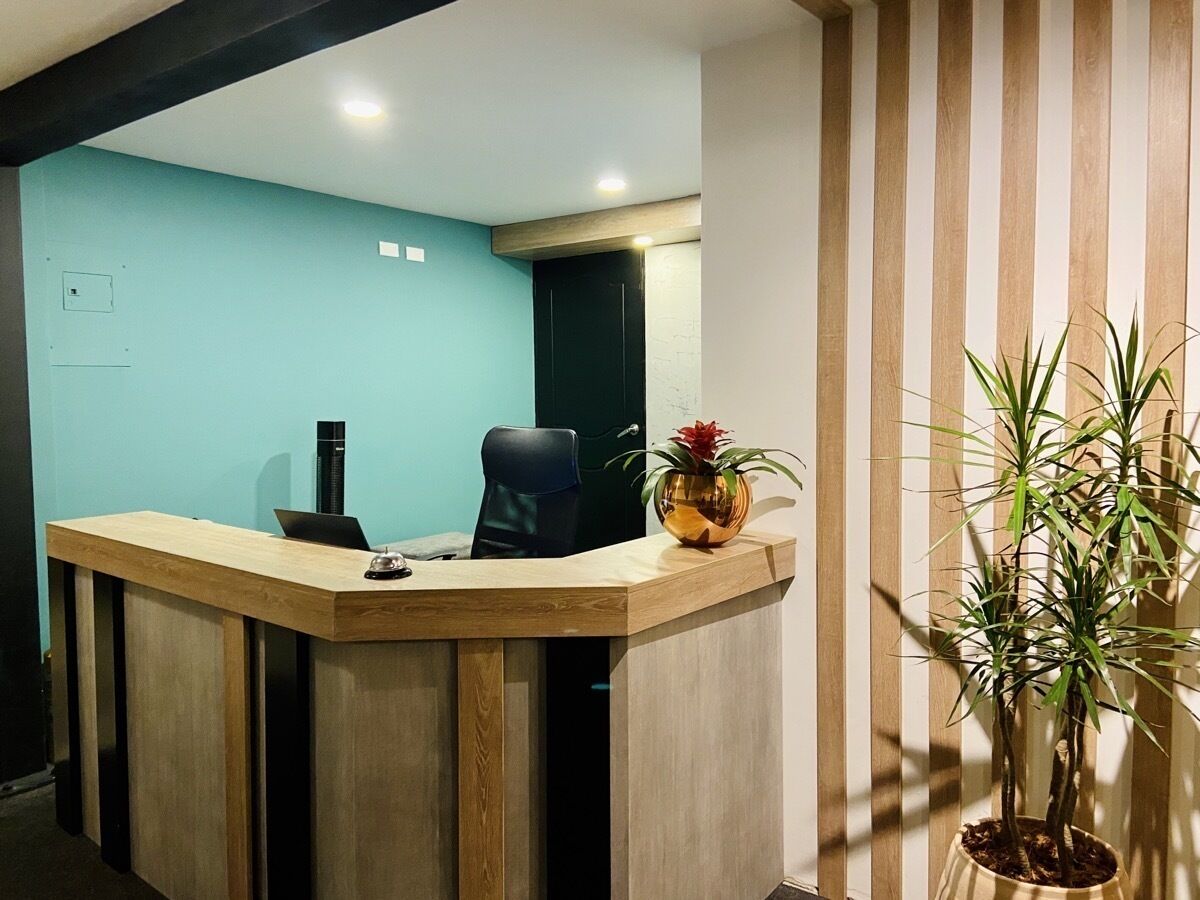 A reception desk with a laptop, a chair, and a potted plant.