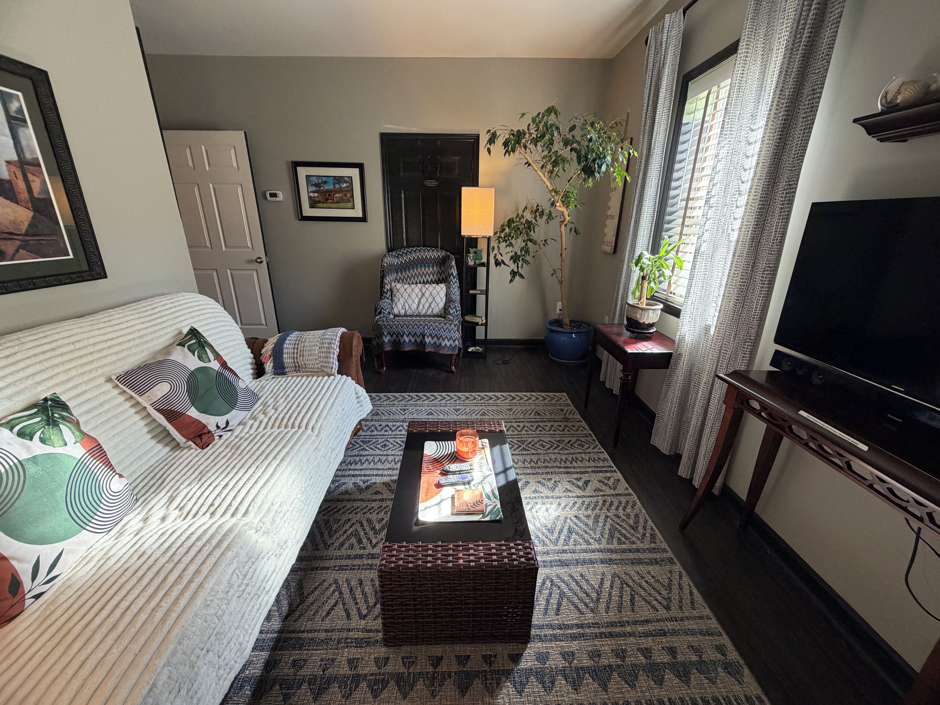 Smart TV, books, music library, video library