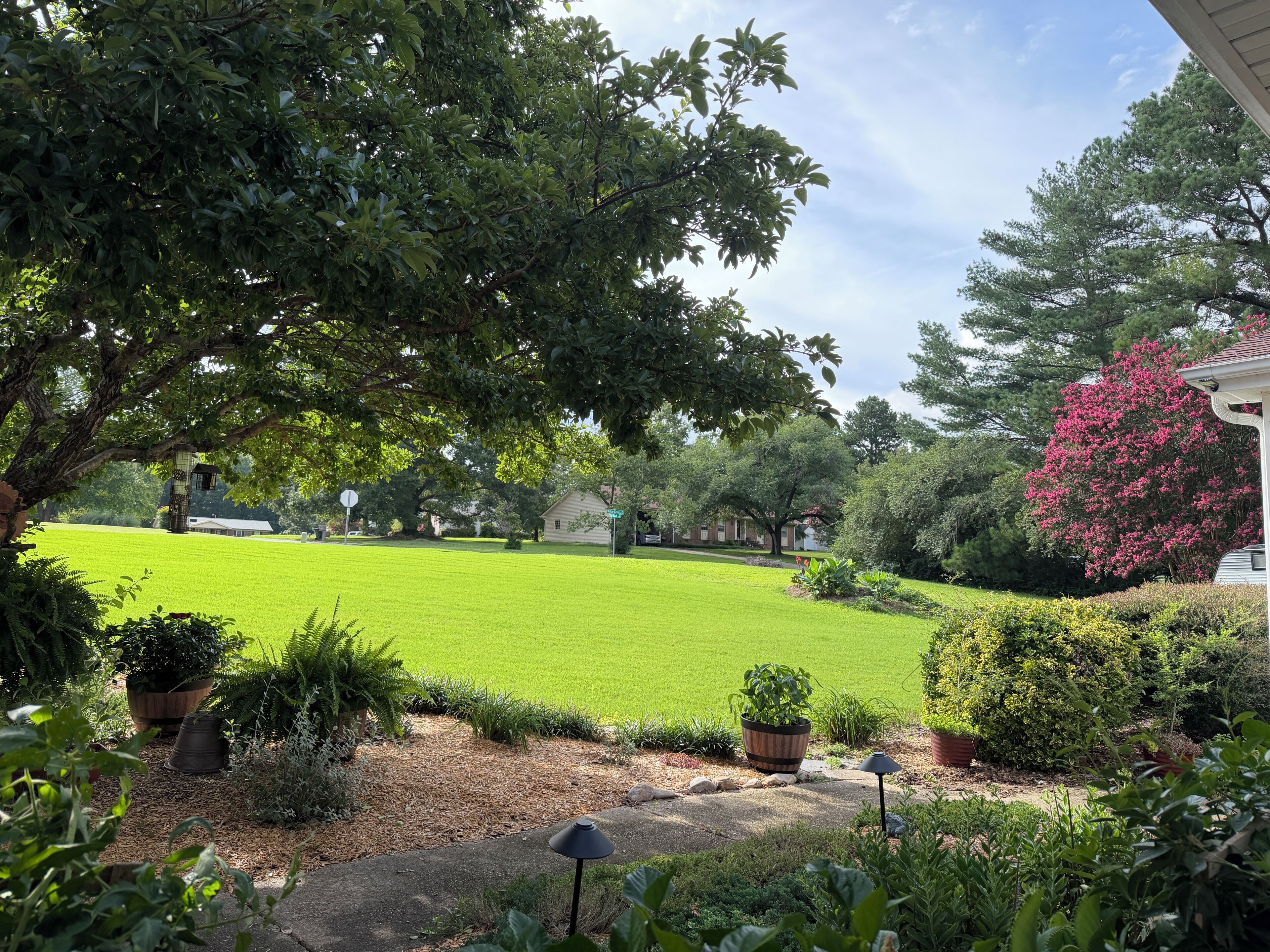A well-maintained lawn with a variety of plants and trees, a clear sky, and a house in the background.