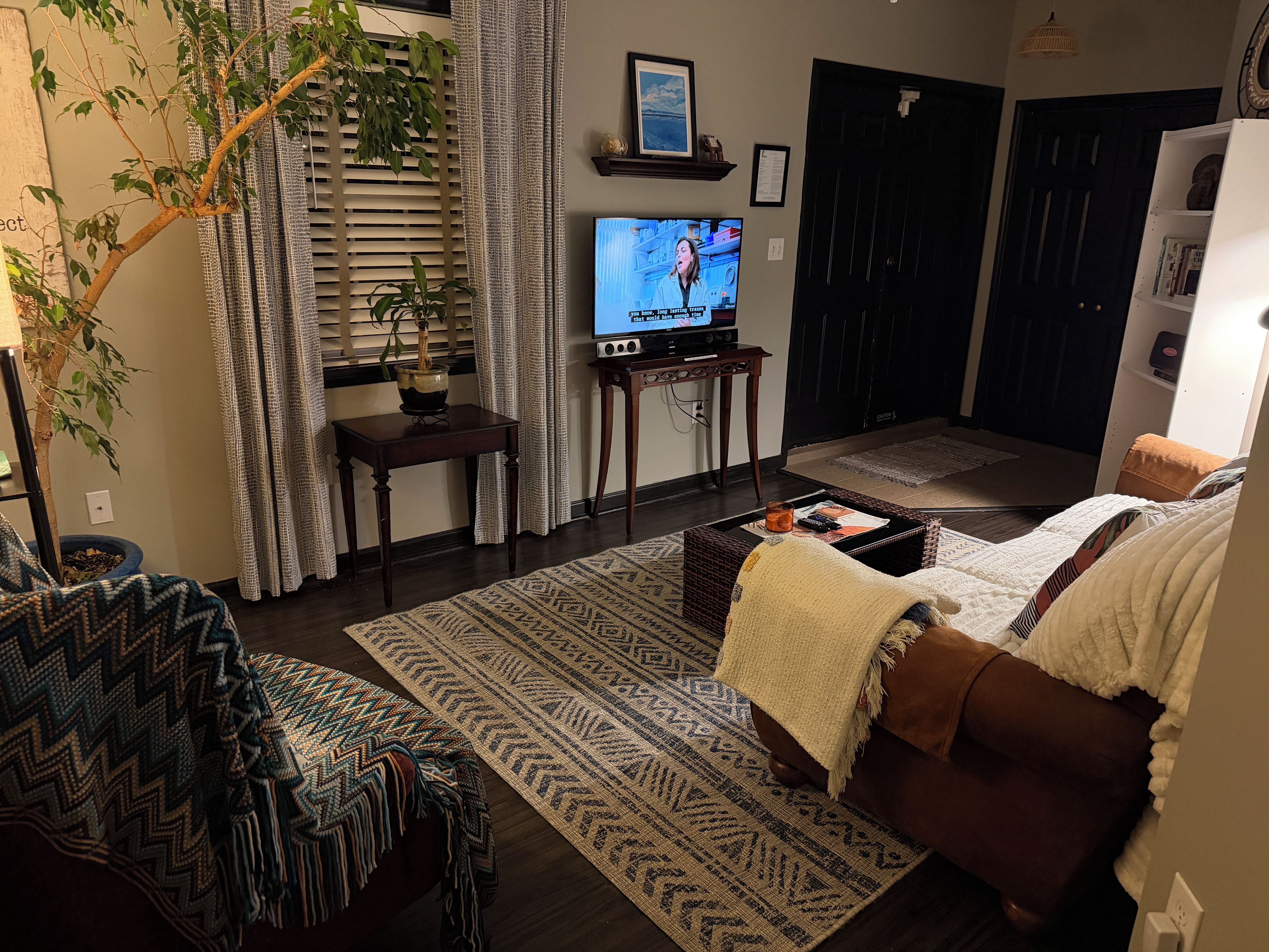 A cozy living room with a brown sofa, a patterned rug, a television, and a potted plant.