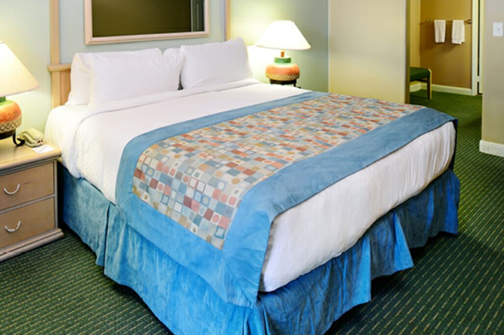 Beautiful 1BDR at Palm Canyon Resort sleeps 4!