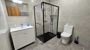 Chuveiro, secador de cabelo, toalhas de banho, shampoo