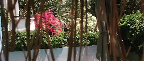 Alberca al aire libre por temporada