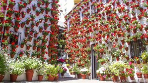 A building facade covered with numerous potted plants and flowers, creating a vibrant and lush appearance. - Precioso Apartamento EN Planta Baja A Estrenar (MIJAS-COSTA)