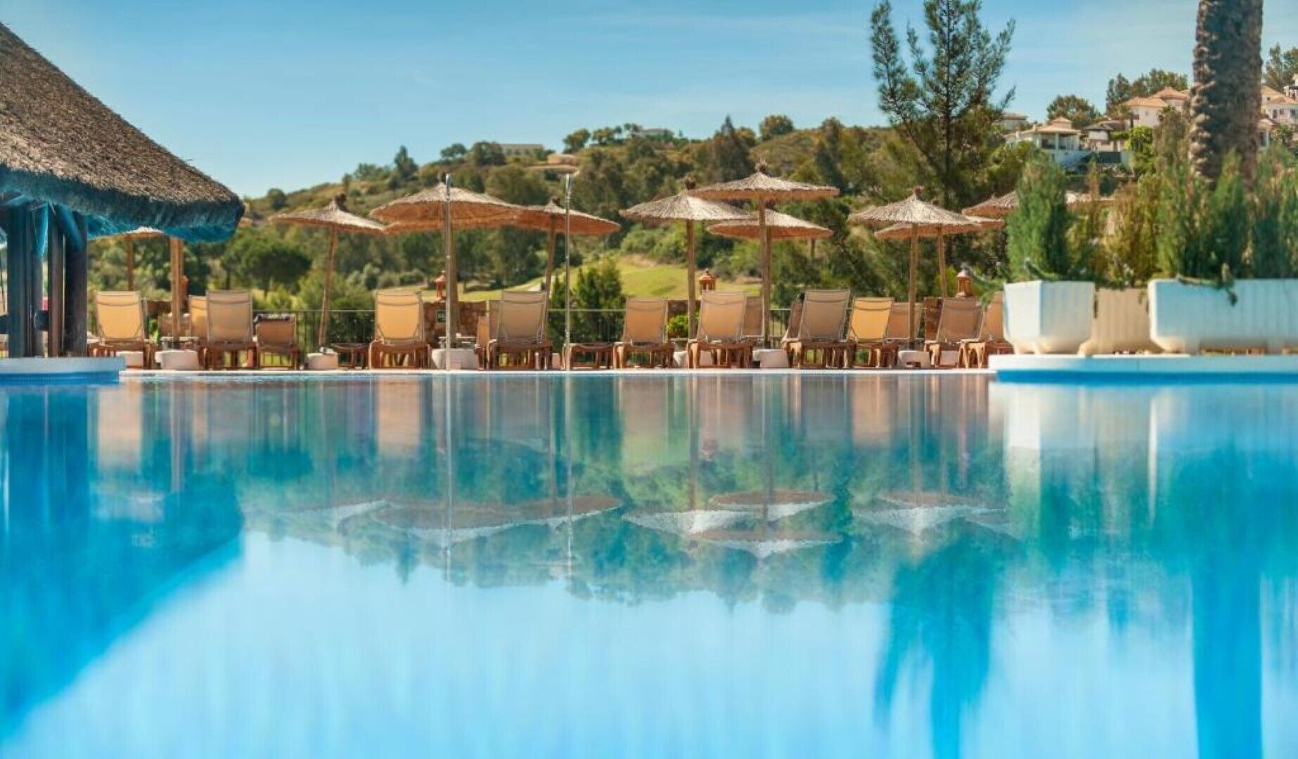 A swimming pool with lounge chairs and umbrellas, surrounded by greenery and buildings.