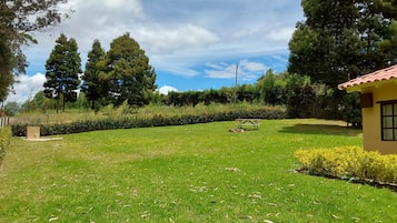 Terrein van de accommodatie