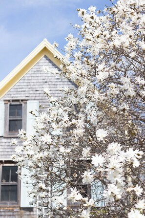 Exterior - Avonlea Forest Hill Cottages (Cavendish)
