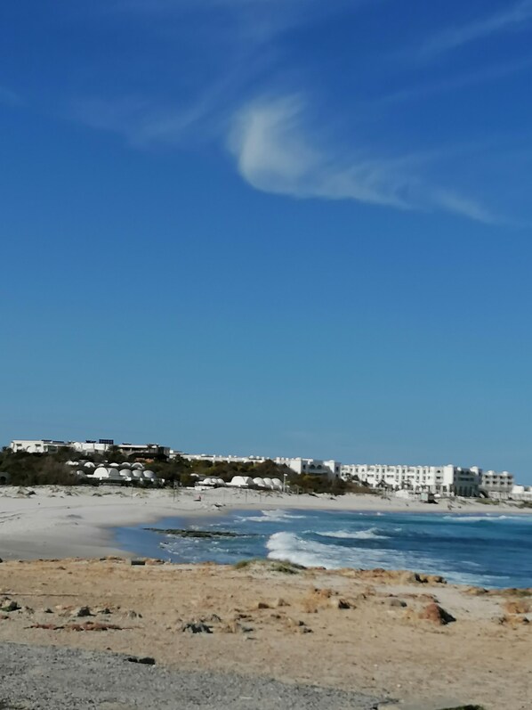 بالقرب من الشاطئ