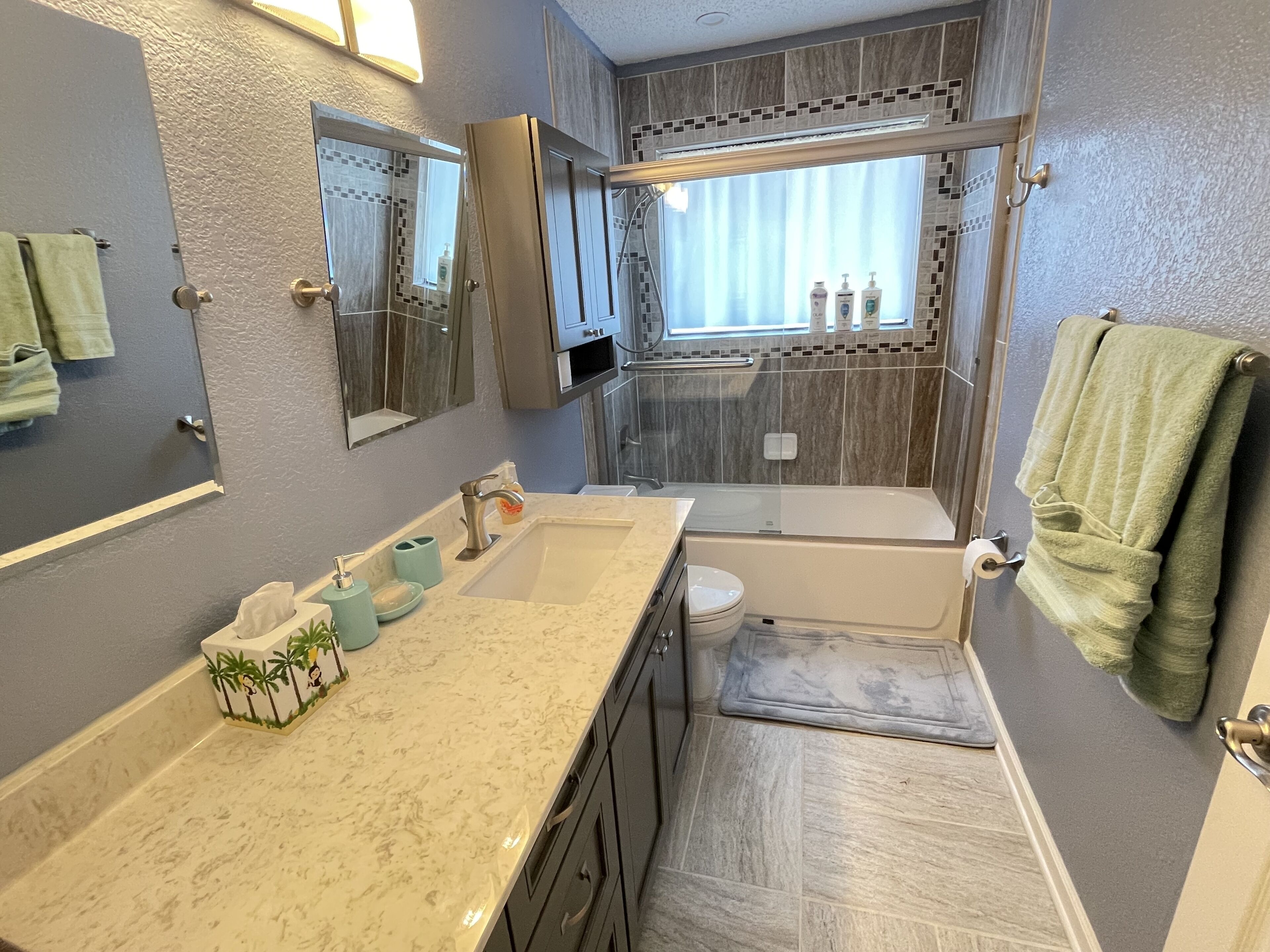 Hair dryer, towels, soap, shampoo