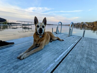 Dogs Stay Free! Lakefront Bungalow with Dock