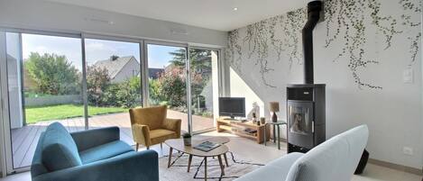 TV, fireplace, books