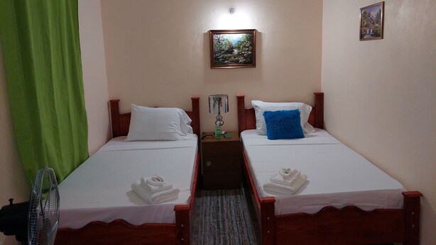 A room with two single beds, a green curtain, a wall-mounted picture, and a small table with a lamp. - Salz Cozy Inn. Comfort at it's best. Peace is guaranteed! (Roseau Valley)