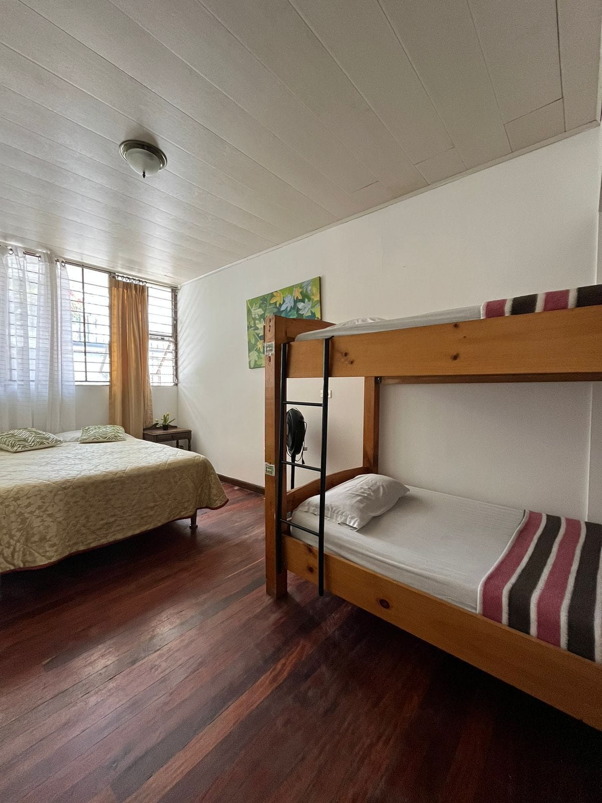 Foto - Gaudy's Hostel