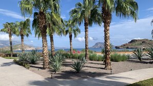 A paved walkway lined with palm trees and agave plants, leading to a scenic view of the sea and hills. - Luxury Suite, The Islands of Loreto - stunning natural beauty in Mexico (Loreto)