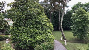 Un jardin bien entretenu, agrémenté de divers arbres et arbustes, d’un chemin de gravier et d’un petit étang.