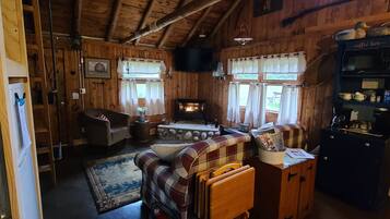 Smart TV, fireplace, books