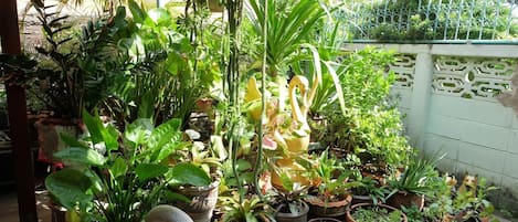 Khuôn viên nơi lưu trú