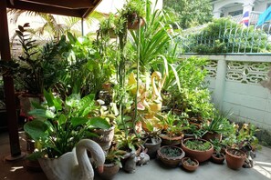 Variedad de plantas en macetas y esculturas de jardín, incluyendo un cisne y conejos, dispuestas en un patio con suelo de baldosas y una pared blanca al fondo.