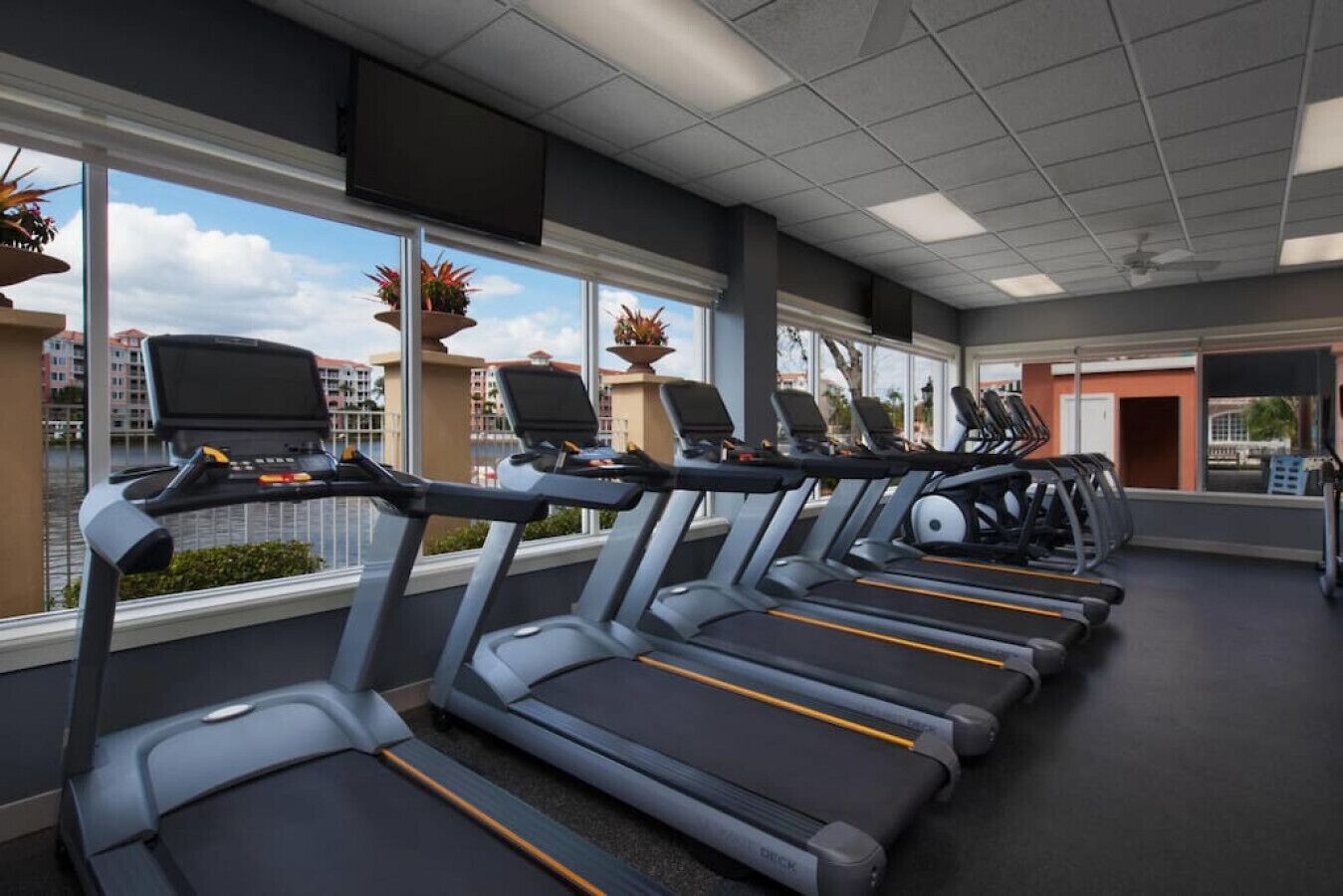 Un gimnasio con cintas de correr alineadas en filas, amplias ventanas con vistas a edificios y plantas en macetas en los alféizares.