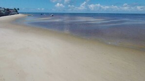 A beach with clear skies and calm waters.