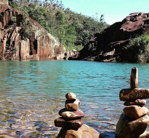 Natural pool