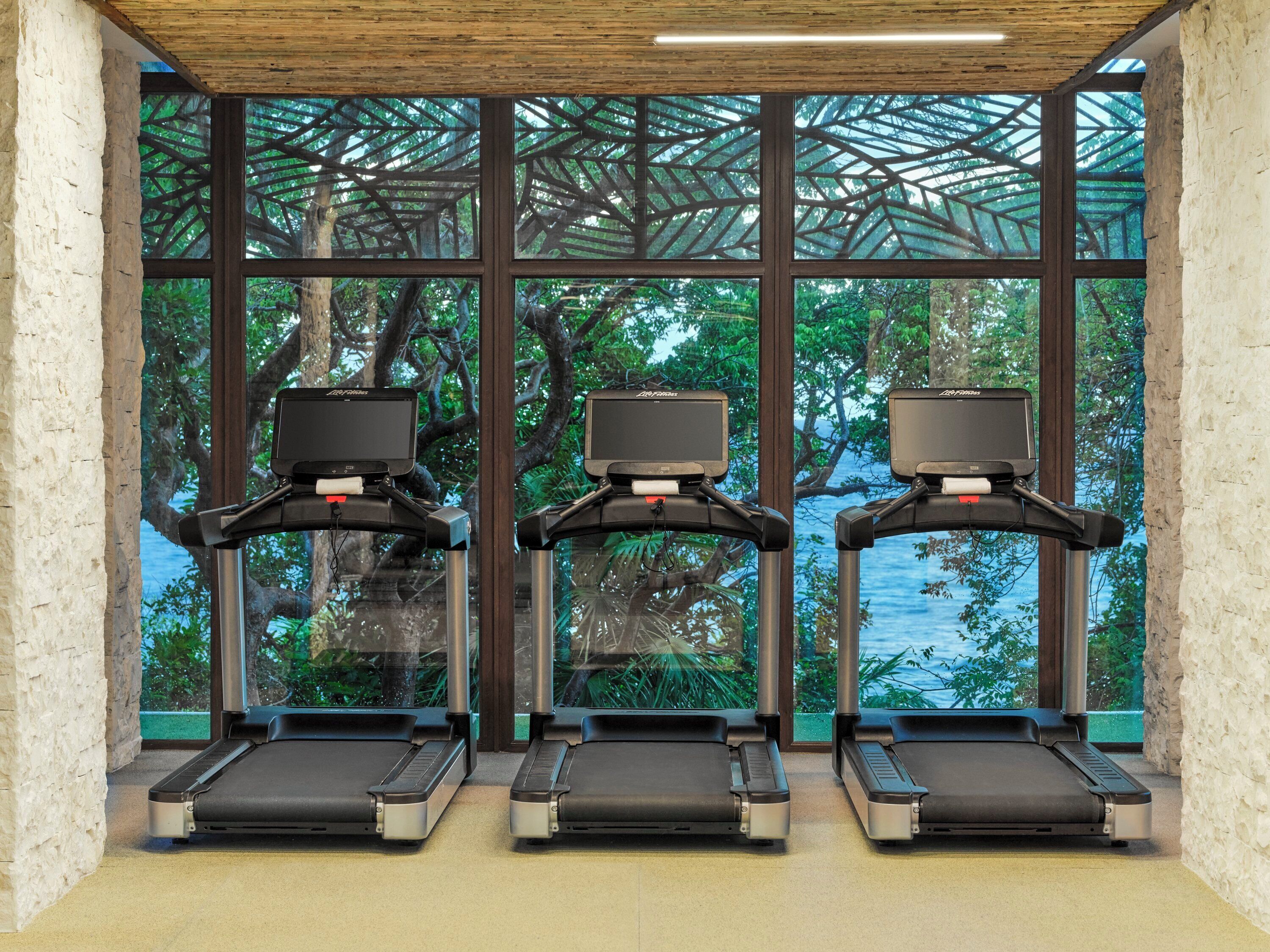 Tres cintas de correr en una sala con ventanas amplias, techo de madera y vistas a árboles y agua.