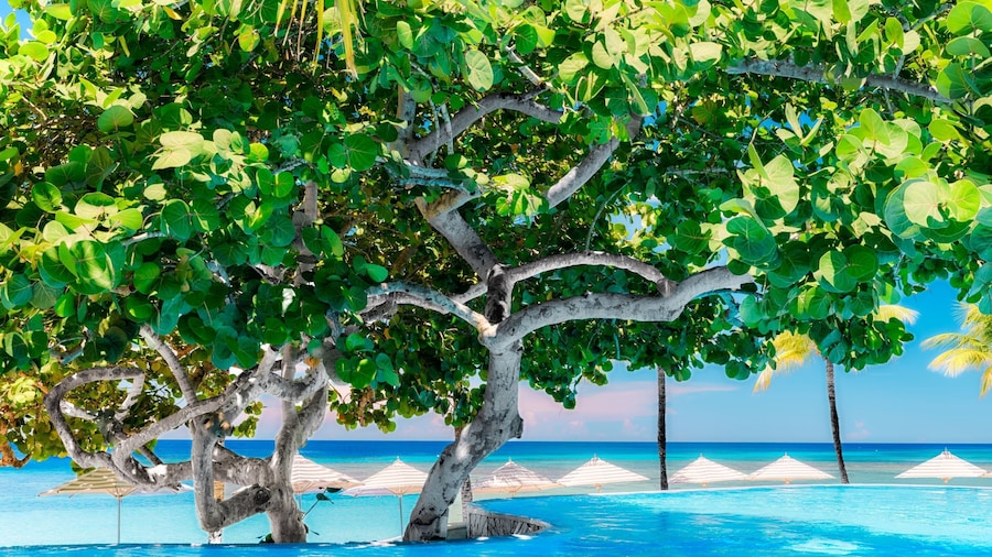 Kimpton Grand Roatan Resort And Spa by IHG