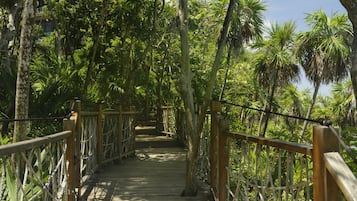 A wooden bridge with rope railings surrounded by lush greenery and palm trees.