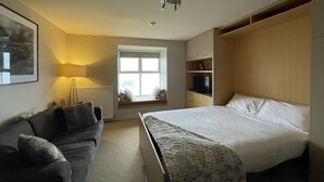 Une chambre à coucher comprenant un lit, un canapé, une fenêtre, un radiateur et un téléviseur.