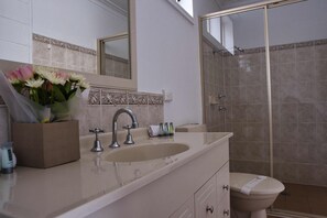 Deluxe Twin Room | Bathroom | Shower, free toiletries, hair dryer, towels