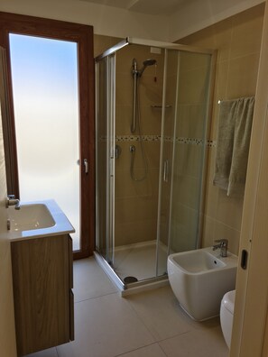 Shower, hair dryer, bidet, towels