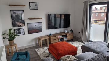 Smart TV, stereo, computer monitors