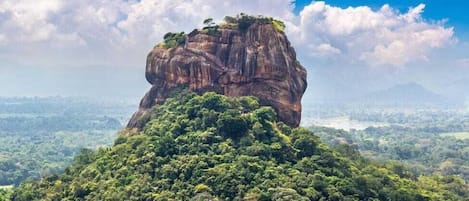 A large rock formation with dense green vegetation at its base, surrounded by a vast landscape.